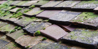 Norton In Hales roof repair costs